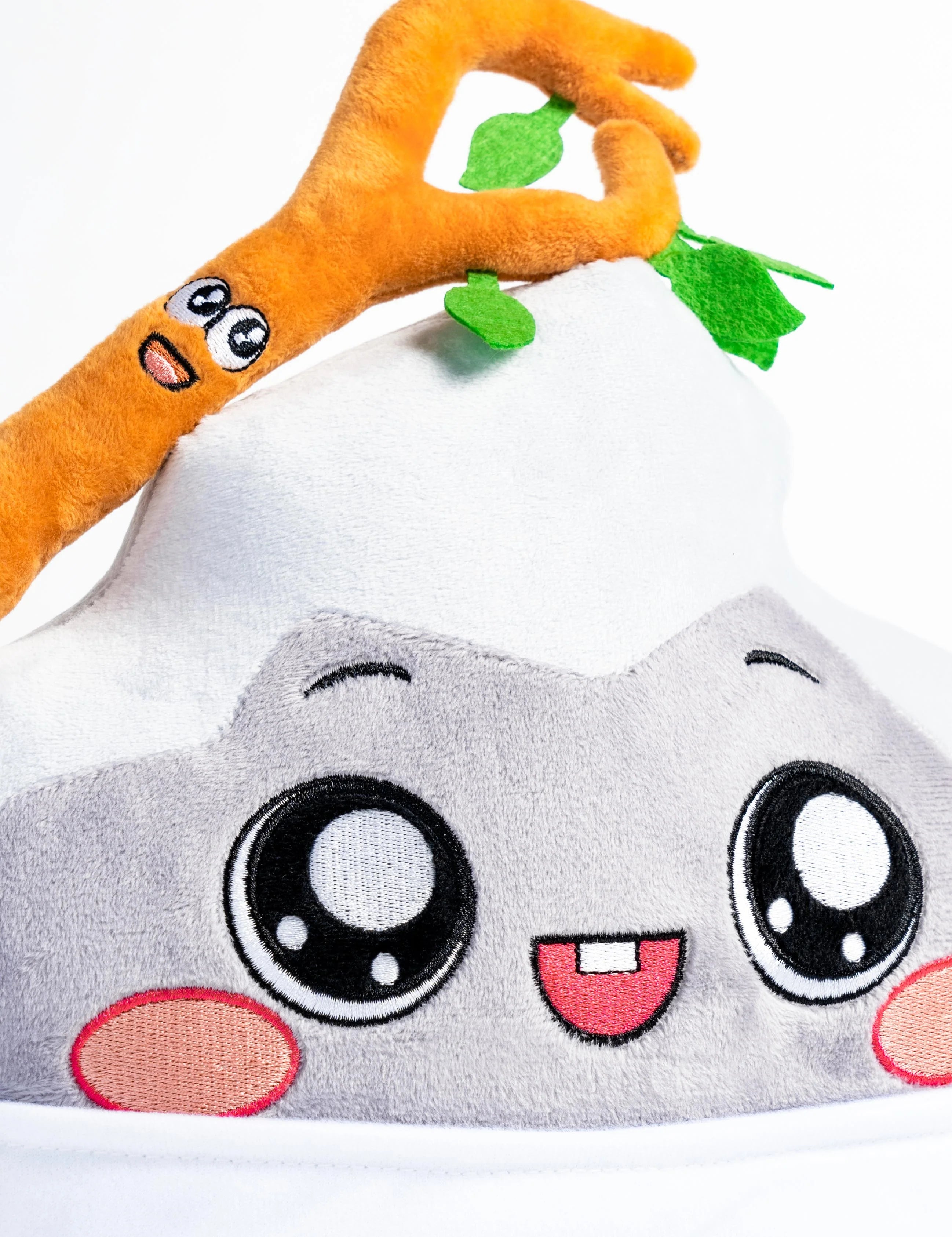 Baby Rocky n’ Sticky