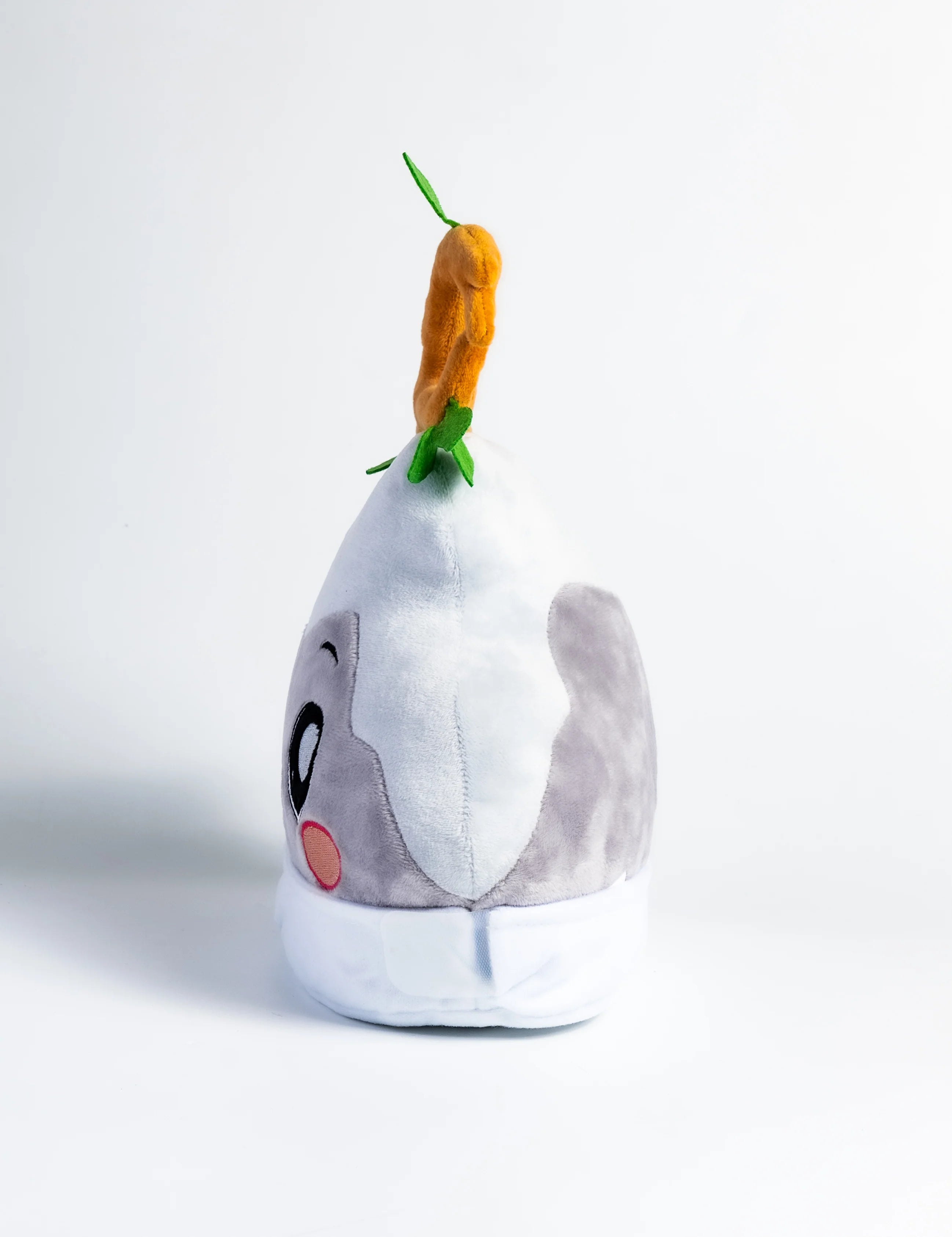 Baby Rocky n’ Sticky