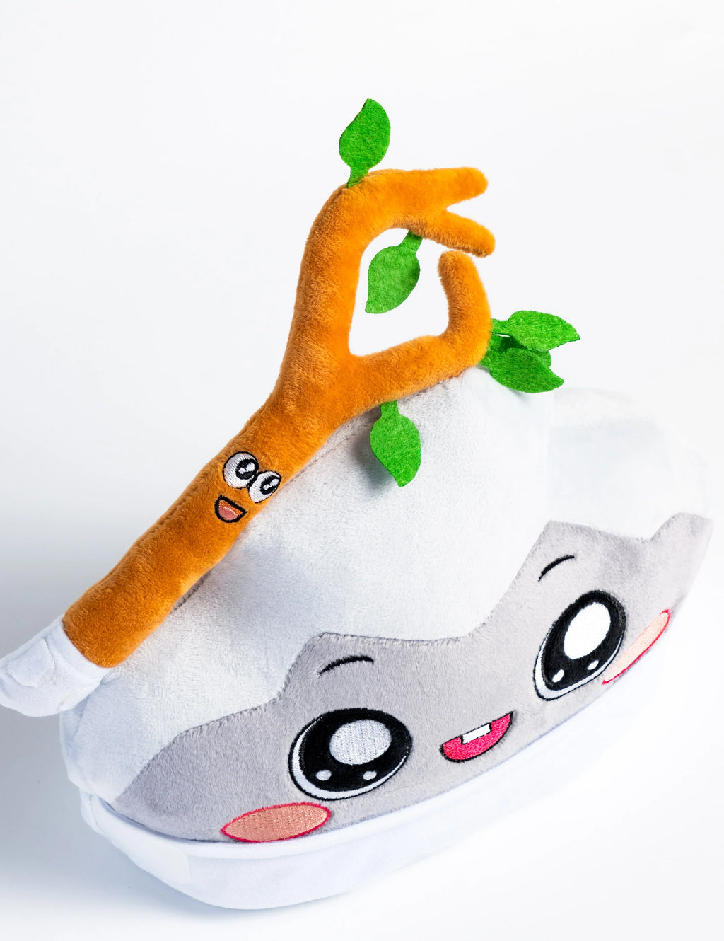 Baby Rocky n’ Sticky